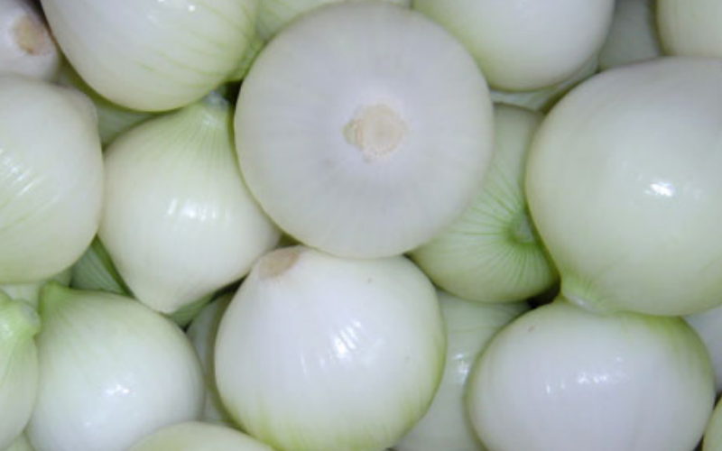 Fresh Onion BXYC